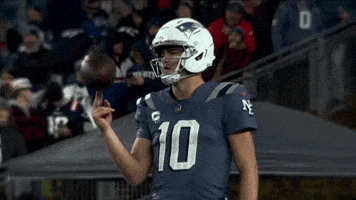 Football Nfl GIF by New England Patriots