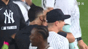 New York Yankees Win GIF by MLB