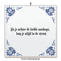 Humor Nl GIF by Tegelspreuken.nl