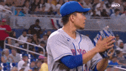 Lets Go Baseball GIF by SNY