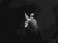 mickey mouse animation GIF by hoppip