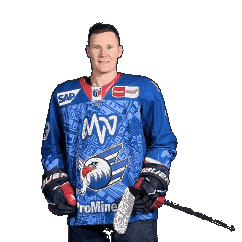Solow Sticker by Adler Mannheim