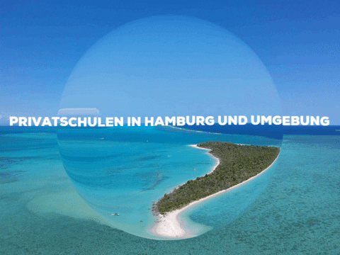 Fun Party GIF by PrivatschulenPORTAL.de