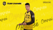 Sport Hand GIF by Team Chambé