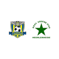 Sport Heerlen Sticker by Groene ster