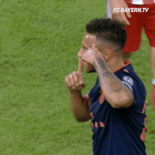 fcbayern football soccer meme celebration GIF
