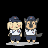 spfrecruitment spf hi five hi 5 spfrecruitment GIF