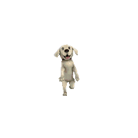 Happy Dance Sticker