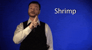 sign language shrimp GIF by Sign with Robert
