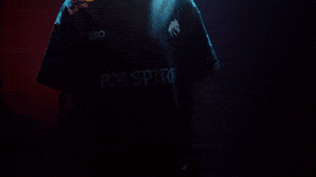 Hong Kong Esports GIF by BLAST