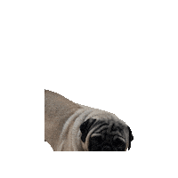 Free Fire Dog Sticker by iNCO Gaming