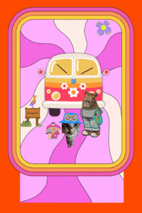 Cat Meme GIF by Furrend