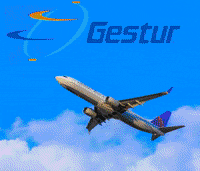 GESTURRD gestur4 GIF