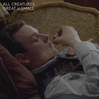 allcreaturestv animals eating relaxed yorkshire GIF