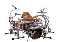 Cheemsmeme Sticker by Revicheems