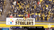 Pittsburgh Steelers Football GIF by NFL