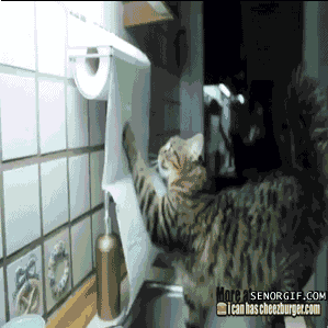 helping best of week GIF by Cheezburger