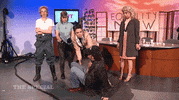 the special help GIF by The Special Without Brett Davis