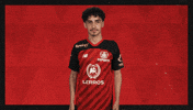 Bayer Leverkusen Esports GIF by Bundesliga