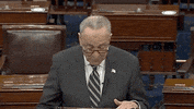 Chuck Schumer GIF by GIPHY News