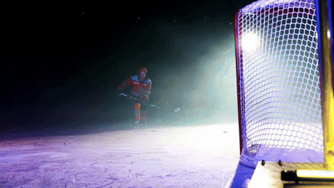 Hockey GIF by Toledo Walleye