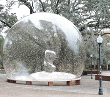 snow globe GIF by University of Florida