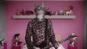 Make Up Sex GIF by Machine Gun Kelly