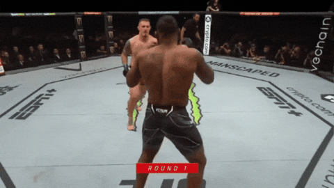 giphy.gif