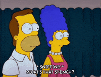 homer simpson episode 10 GIF