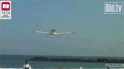 pant sunbathing GIF