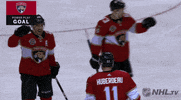 happy ice hockey GIF by NHL