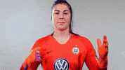 World Cup Reaction GIF by VfL Wolfsburg