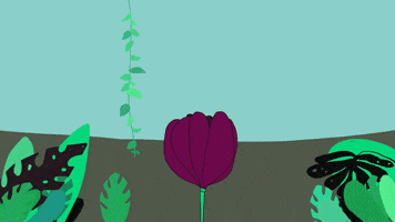 animation love GIF by julia farkas