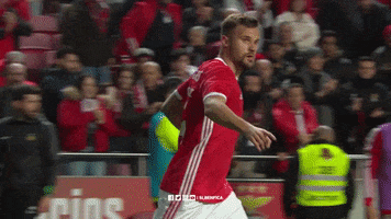 Sl Benfica Point GIF by Sport Lisboa e Benfica