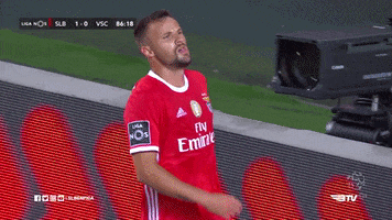 Sl Benfica Slbgif GIF by Sport Lisboa e Benfica