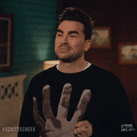 Happy David Rose GIF by Schitt's Creek