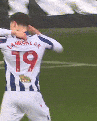 West Brom Wba GIF by West Bromwich Albion