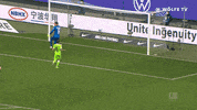 Angry Football GIF by VfL Wolfsburg