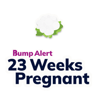 Pregnancy Expecting Sticker by The Bump