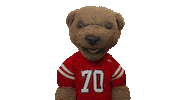 cornell university touchdown Sticker