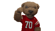 cornell university touchdown Sticker