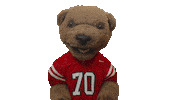 cornell university touchdown Sticker