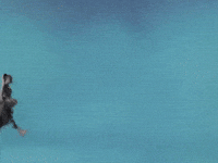 Kelsea Ballerini - THE LITTLE THINGS