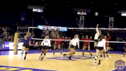College Sports Sport GIF by LSU Tigers
