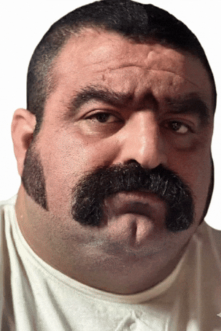 Bear Queer GIF by Database數據