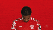 Look Up Mainz 05 GIF by Bundesliga