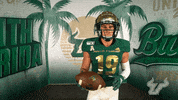 South Florida Go Bulls GIF by USF Athletics