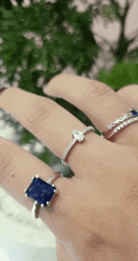 Papillojoias papillo papillojoias GIF
