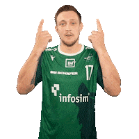 RimparerWoelfe swipe up up swipe handball Sticker