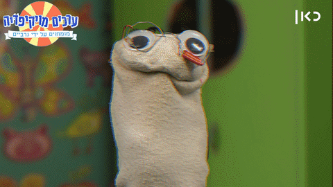 socks wikisocks GIF by Garbaim